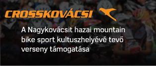 Társadalmi szerepvállalás